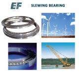 Fast Delivery Gear Bearing Slewing